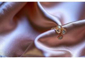 Light Luxe Lingerie Featuring Gold Thread Embroidery and Silk