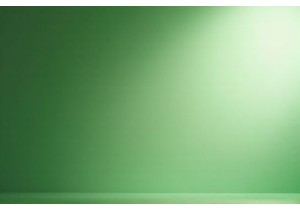 Zero Carbon Lingerie Pioneers Leading Chinas Green Fashion Movement