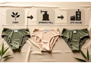 Traceable Supply Chains in Chinese Eco Underwear with GOTS Certification