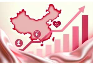 Chinese Lingerie Market Data 2024 Key Insights on Price Sensitivity and Brand Loyalty