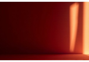 Wearer Experience with Affordable Chinese Lingerie Brands in 2024