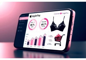 Lingerie Industry Analysis Shows Mobile Wallet Dominance in Purchases