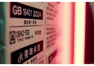 Lingerie Industry News Highlights Regulatory Shifts Affecting Imports to China