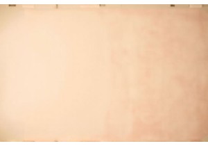 Vintage Lingerie Materials Guide Authentic Fabrics List