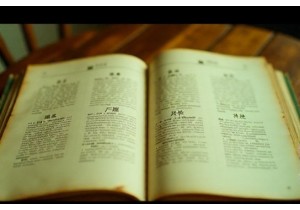 Vintage Lingerie Materials Guide Authentic Fabrics List