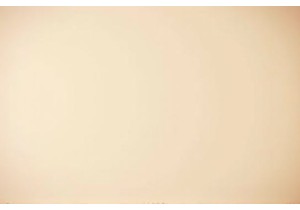 Frederick's of Hollywood Brand Archives Featuring Chinese Collaborations