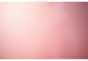 Historical Reconstruction of Nei Yi