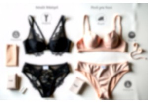 Chinese Lingerie Brand Comparison: Wicked Weasel vs Lily ...