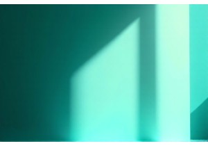 Chinese Lingerie Brands: Fredericks vs Modern Aesthetics