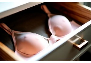 Lingerie Storage Solutions Keeping Delicates Organized Protected and Fresh