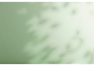 Reliable Underwear OEM Partner for Brands Prioritizing Traceability Sustainability and Speed