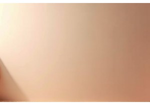 Different Types of Lingerie Including Backless Bra Solutions and Strap Converters