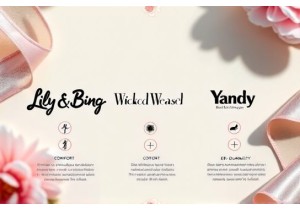 Chinese Lingerie Brands Comparison: Lily & Bing vs Wicked...