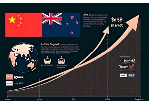 Chinese Lingerie Market: Bendon Lingerie NZ Cross-Border ...