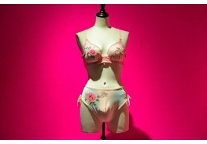 Republican Era Underwear Marks Turning Point in Chinese W...